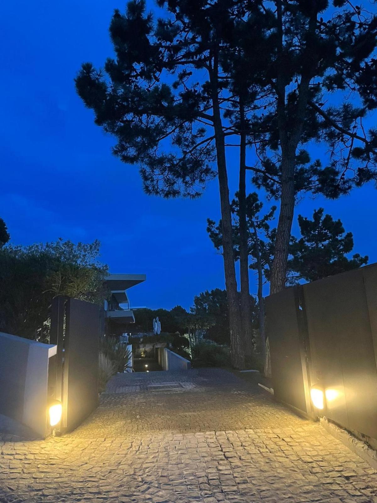 Villa Paladina フォス・ド・アレーリョ エクステリア 写真